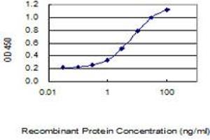 Detection limit for recombinant GST tagged TMEM81 is 0. (TMEM81 anticorps  (AA 1-255))