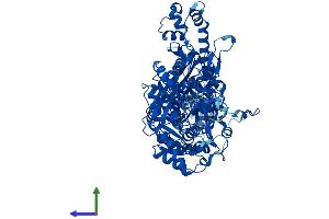 AlphaFold protein structure predicition of Mouse Recombinant Mthfd1 Protein, UniprotID Q922D8