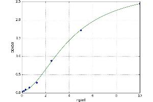 Lectin, Galactoside-Binding, Soluble, 8 (LGALS8) ELISA Kit