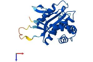 AlphaFold protein structure predicition of Mouse Recombinant Emc8 Protein, UniprotID O70378