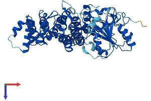 AlphaFold protein structure predicition of Human Recombinant RO60 Protein, UniprotID P10155