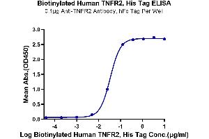 Immobilized Anti-TNFR2 Antibody, hFc Tag at 1 μg/mL (100 μL/well) on the plate.