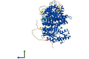 AlphaFold protein structure predicition of Mouse Recombinant Acad10 Protein, UniprotID Q8K370