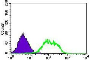 Flow cytometric analysis of HEK293 cells using GUCY1A3 mouse mAb (green) and negative control (purple). (GUCY1A1 anticorps  (AA 22-214))
