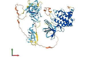 AlphaFold protein structure predicition of Human Recombinant LIMK1 Protein, UniprotID P53667
