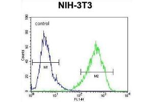 Flow Cytometry (FACS) image for anti-Homeobox and Leucine Zipper Encoding (HOMEZ) antibody (ABIN2995832) (HOMEZ anticorps)