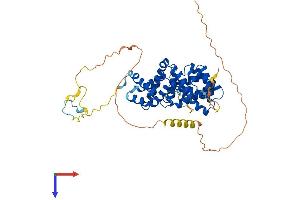 AlphaFold protein structure predicition of Human Recombinant PDCD4 Protein, UniprotID Q53EL6