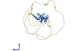 AlphaFold protein structure predicition of Mouse Recombinant Smap2 Protein, UniprotID Q7TN29