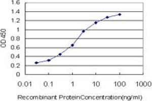 Detection limit for recombinant GST tagged HSPB8 is approximately 0.