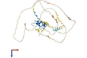 AlphaFold protein structure predicition of Human Recombinant RNF44 Protein, UniprotID Q7L0R7