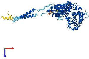 AlphaFold protein structure predicition of Mouse Recombinant Entpd1 Protein, UniprotID P55772