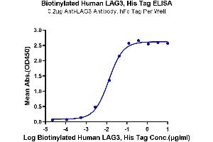 Immobilized Anti-LAG3 Antibody, hFc Tag at 2 μg/mL (100 μL/well) on the plate.