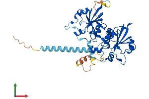 AlphaFold protein structure predicition of Human Recombinant PCYT2 Protein, UniprotID Q99447