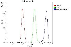 Flow Cytometry analysis of SiHa cells using anti- hnRNP D/AUF1/HNRNPD antibody (ABIN7602592). (HNRNPD/AUF1 anticorps  (AA 88-246))