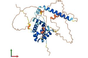 AlphaFold protein structure predicition of Mouse Recombinant Bcl2l14 Protein, UniprotID Q9CPT0