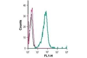 Cell surface detection of P2Y6 in live intact mouse BV-2 microglia cells: (black line) Cells.