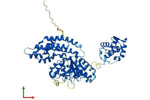 AlphaFold protein structure predicition of Mouse Recombinant Ehd1 Protein, UniprotID Q9WVK4