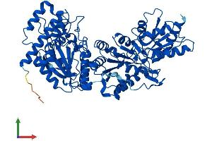 AlphaFold protein structure predicition of Mouse Recombinant Tktl2 Protein, UniprotID Q9D4D4