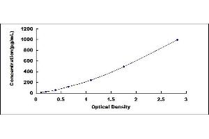 Typical standard curve (GDF15 Kit ELISA)