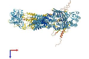 AlphaFold protein structure predicition of Mouse Recombinant Abca6 Protein, UniprotID Q8K441