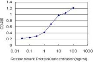Detection limit for recombinant GST tagged ANXA10 is approximately 0. (Annexin a10 anticorps  (AA 1-324))