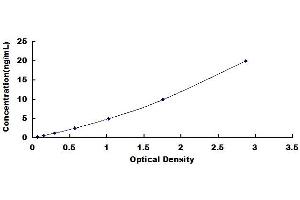 Typical standard curve (Angiopoietin 2 Kit ELISA)