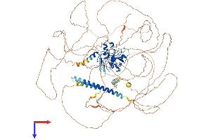 AlphaFold protein structure predicition of Mouse Recombinant Mllt10 Protein, UniprotID O54826