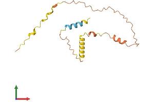 AlphaFold protein structure predicition of Human Recombinant DSCR9 Protein, UniprotID P59020