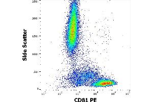 Flow cytometry surface staining pattern of human peripheral whole blood stained using anti-human CD81 (M38) PE antibody (20 μL reagent / 100 μL of peripheral whole blood). (CD81 anticorps  (PE))
