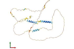 AlphaFold protein structure predicition of Mouse Recombinant Ier5 Protein, UniprotID O89113