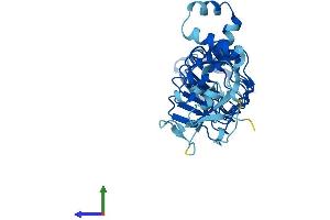 AlphaFold protein structure predicition of Mouse Recombinant Lrrc69 Protein, UniprotID Q9D9Q0