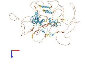 AlphaFold protein structure predicition of Human Recombinant ZFPM1 Protein, UniprotID Q8IX07