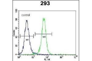 ZN Antibody (N-term) (ABIN654561 and ABIN2844268) flow cytometric analysis of 293 cells (right histogram) compared to a negative control cell (left histogram). (ZNF611 anticorps  (N-Term))