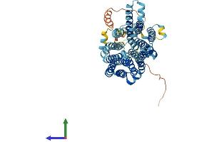 AlphaFold protein structure predicition of Human Recombinant SLC45A2 Protein, UniprotID Q9UMX9