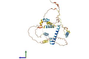 AlphaFold protein structure predicition of Human Recombinant BCL2L12 Protein, UniprotID Q9HB09
