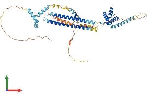 AlphaFold protein structure predicition of Human Recombinant PBX3 Protein, UniprotID P40426
