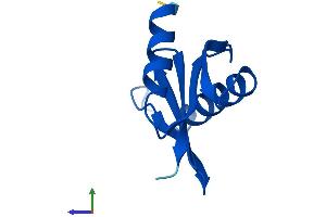 AlphaFold protein structure predicition of Human Recombinant LAMTOR5 Protein, UniprotID O43504