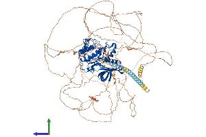 AlphaFold protein structure predicition of Human Recombinant BMP2K Protein, UniprotID Q9NSY1