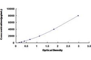 Typical standard curve (LEFTY1 Kit ELISA)
