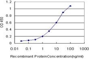 Detection limit for recombinant GST tagged ASB10 is approximately 0. (ASB10 anticorps  (AA 48-153))