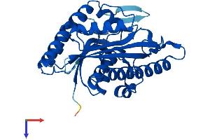 Pyridoxal Kinase (PDXK) (AA 1-312) protein (His tag)