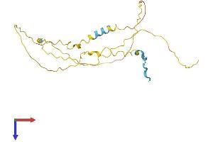 AlphaFold protein structure predicition of Mouse Recombinant Nucks1 Protein, UniprotID Q80XU3