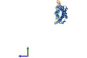 AlphaFold protein structure predicition of Mouse Recombinant Ccr2 Protein, UniprotID P51683