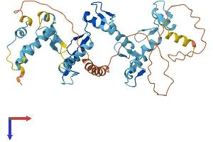 AlphaFold protein structure predicition of Human Recombinant ZNF566 Protein, UniprotID Q969W8