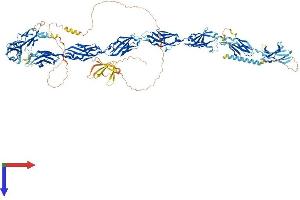 AlphaFold protein structure predicition of Mouse Recombinant Fndc3a Protein, UniprotID Q8BX90