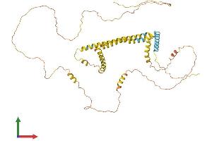 AlphaFold protein structure predicition of Mouse Recombinant Rtn2 Protein, UniprotID O70622