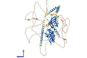 AlphaFold protein structure predicition of Mouse Recombinant Npas2 Protein, UniprotID P97460