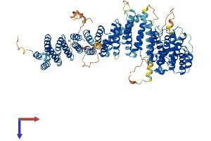AlphaFold protein structure predicition of Mouse Recombinant Efr3b Protein, UniprotID Q6ZQ18
