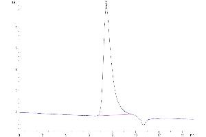 The purity of Human VEGF165 is greater than 95 % as determined by SEC-HPLC.