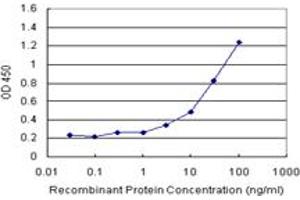 Sandwich ELISA detection sensitivity ranging from 3 ng/mL to 100 ng/mL. (VIL1 (Humain) Matched Antibody Pair)